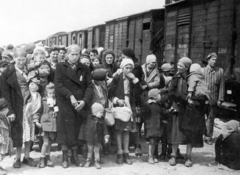 117 cejia roma deportation