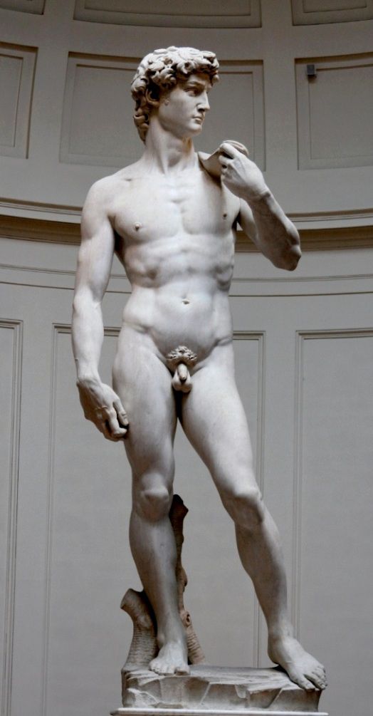2γ_david-michelangelo-1504.jpg