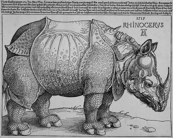 Albrecht_Dürer.jpg