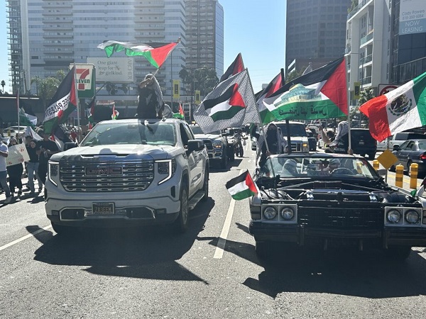 palestine cars 