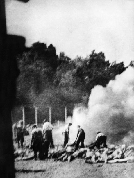 Φωτ. Αρθ. 281 2 Άουσβιτς κροπάρισμα