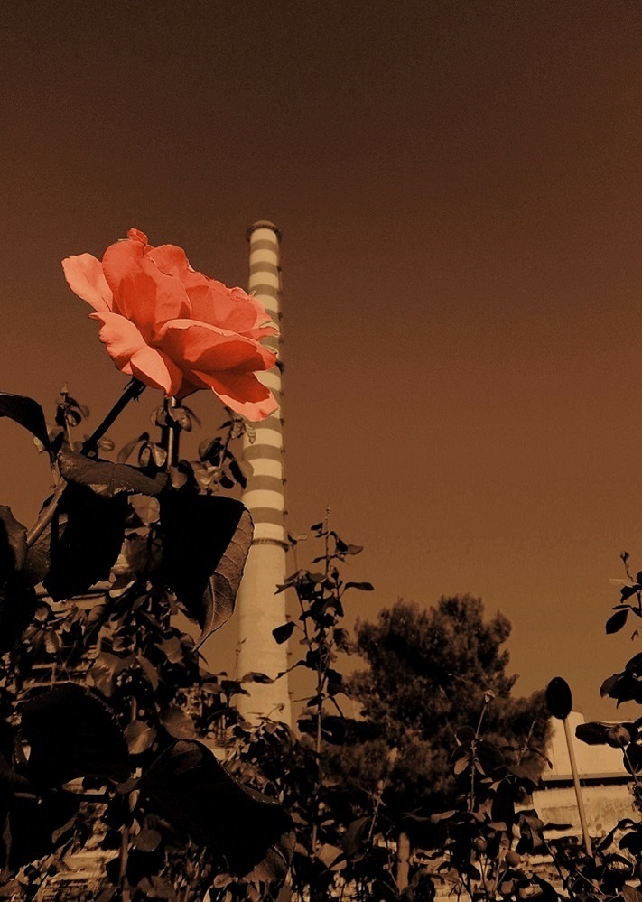 15 Keratsini Doutsios Αντίγραφο