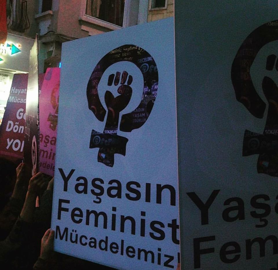 17022369 1398266166902431 8047764415323279596 n