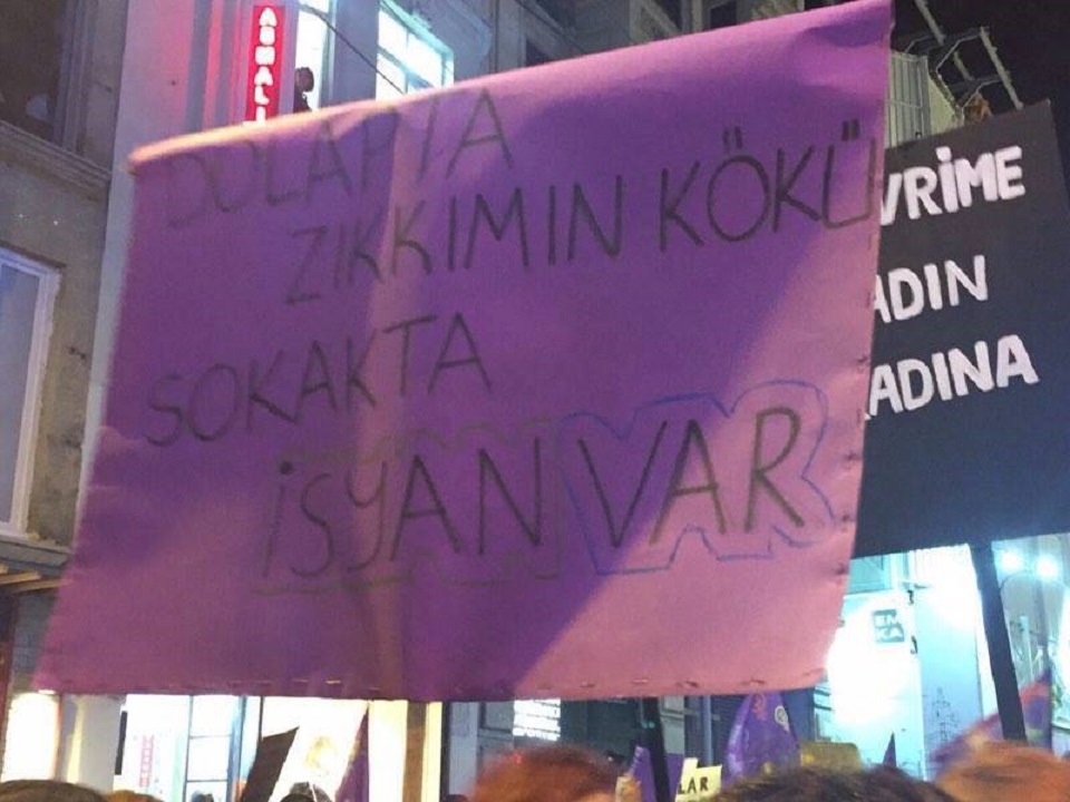 17098617 1398271070235274 8476555815182545757 n