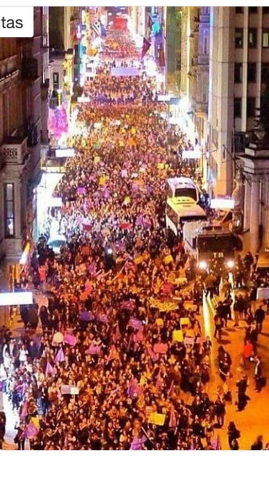 17103478 492993157538123 7562859210342260287 n