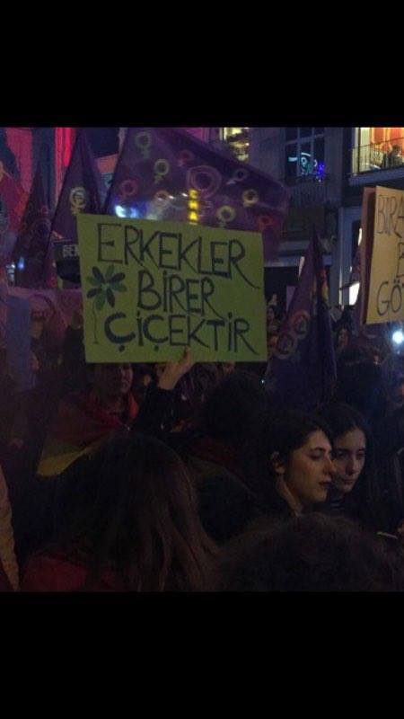 17155755 1398263670236014 2217070681325309248 n