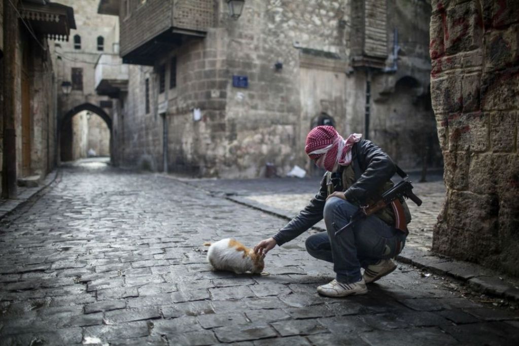 3 Aleppo