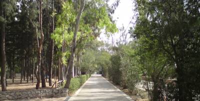 ANT.AΡ.ΣΥ.Α. Ν. Ιωνίας – Ν. Φιλαδέλφειας / Ν.Χαλκηδόνας– Μεταμόρφωσης: ΤΟ ΑΛΣΟΣ ΜΑΣ ΣΤΗ Ν. ΦΙΛΑΔΕΛΦΕΙΑ ΕΙΝΑΙ ΚΛΕΙΣΤΟ! ΓΙΑΤΙ ΟΜΩΣ;