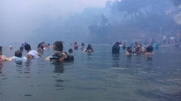 ANTARSYA: “Amenaza asimétrica” para personas y medio ambiente. Los desastrosos incendios señalan el desarollo capitalista