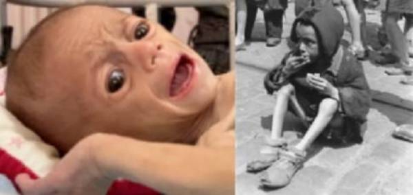 Η πείνα ως όπλο γενοκτονίας: Γάζα 2025 – Σοβιετική Ένωση 1941 - του Γιώργου Μητραλιά