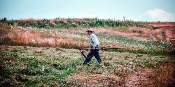 ΑΝΤ.ΑΡ.ΣΥ.Α.: Αγώνας για την επιβίωση της φτωχομεσαίας αγροτιάς , των αυτοαπασχολούμενων και των εργαζομένων στον αγροτικό τομέα. Φθηνά και ποιοτικά τρόφιμα για το λαό.