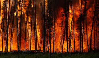 Το Ελ Νίνιο (El Niño) επιταχύνει το κλιματικό χάος: ήρθε η ώρα για δράση  - Gareth Dale