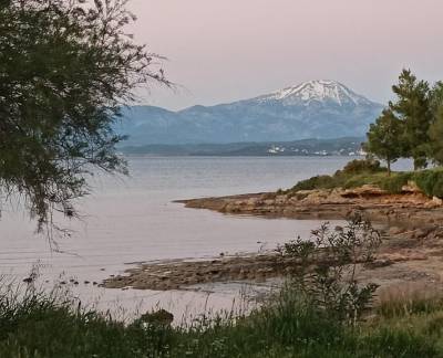 ΑΝΤ.ΑΡ.ΣΥ.Α. Εύβοιας: Για την εγκατάσταση ανεμογεννητριών στη Δίρφη και στα Κοτύλαια Όρη και για τον περιβαλλοντοκτόνο νόμο Χατζηδάκη