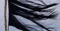 ΤΡΙΤΗ 27/9 – ΔΙΑΔΗΛΩΣΗ ΑΛΛΗΛΕΓΓΥΗΣ ΣΤΙΣ ΑΓΩΝΙΖΟΜΕΝΕΣ ΙΡΑΝΕΣ