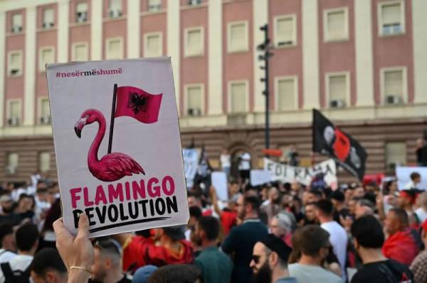 Μάχη για τo εδάφος της Αλβανίας: τι αποκαλύπτει η «Επανάσταση των ροζ φλαμίνγκο» - από την Αλβανική Αντικαπιταλιστική Συλλογικότητα (KASh)