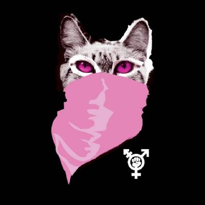 Witches Of The South : Δευτέρα 12/7 στις 7 μμ πλατεία Εθνικής Αντιστάσεως, Ηλιούπολη. Τετάρτη 14/7 στις 7μμ πλατεία Πρωτομαγιάς