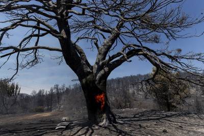 ΑΝΤΑΡΣΥΑ: Όλοι και όλες τη Δευτέρα 9/8, 8.00 μ.μ στο Σύνταγμα ΝΑ ΜΕΤΑΤΡΕΨΟΥΜΕ ΤΗΝ ΟΡΓΗ ΜΑΣ ΣΕ ΑΓΩΝΑ