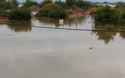 Άμεσος κίνδυνος οξύτατης υγειονομικής κρίσης στην Θεσσαλία, προειδοποιούν οι εκπρόσωποι του Ενωτικού Κινήματος για την Ανατροπή