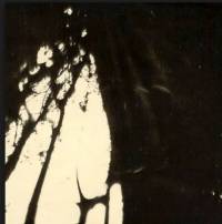 Οι τέσσερις φωτογραφίες του Άουσβιτς και ο Αλμπέρτο Ερρέρα απ’ τη Λάρισα