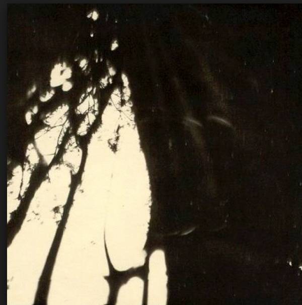 Οι τέσσερις φωτογραφίες του Άουσβιτς και ο Αλμπέρτο Ερρέρα απ’ τη Λάρισα