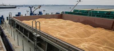 Κρίση τροφίμων: Nα σταματήσουν οι κυρώσεις; του Daniel Tanuro