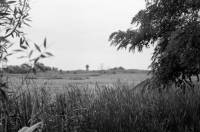 Ο καθοριστικός ρόλος της ΕΕ στην άνοδο του Όρμπαν