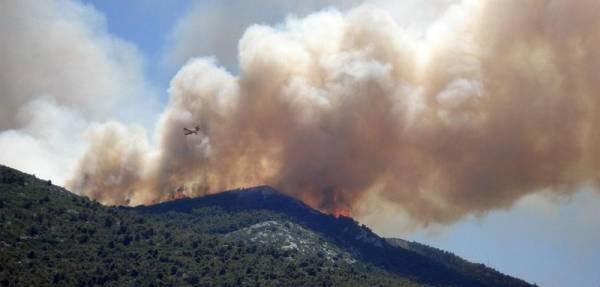 Καύσωνες: οργή και θλίψη - και ελπίδα, παρ’ όλα αυτά! Christine Poupin και Daniel Tanuro