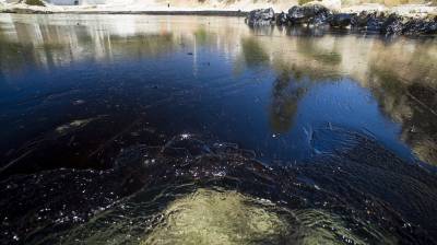 Εκπαιδευτικά Σωματεία της Αττικής: Κάλεσμα σε Συγκέντρωση Διαμαρτυρίας και Διαδήλωση για το Περιβαλλοντικό Έγκλημα στον Αργοσαρωνικό